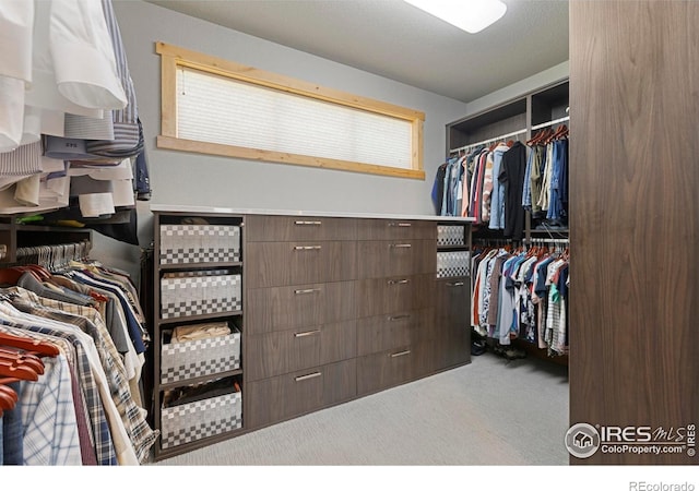 37044 Soaring Eagle Cir, Severance, CO 80550 - walk in closet with carpet