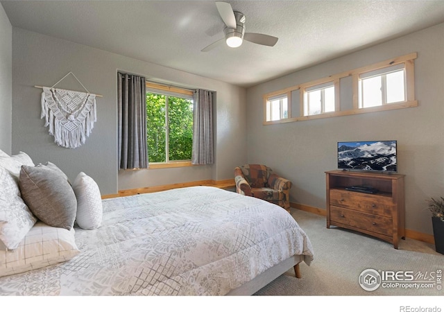 37044 Soaring Eagle Cir, Severance, CO 80550 - carpeted bedroom featuring multiple windows and ceiling fan