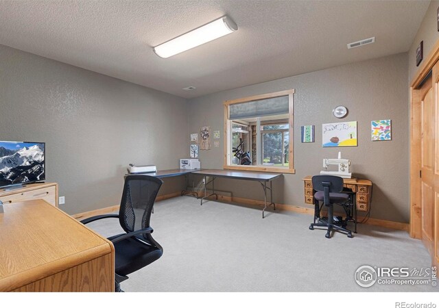37044 Soaring Eagle Cir, Severance, CO 80550 - carpeted home office with a textured ceiling and a textured wall