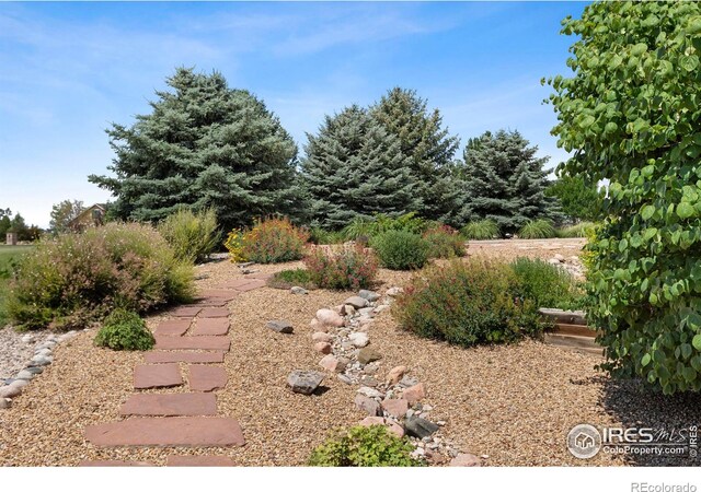 37044 Soaring Eagle Cir, Severance, CO 80550 - view of yard