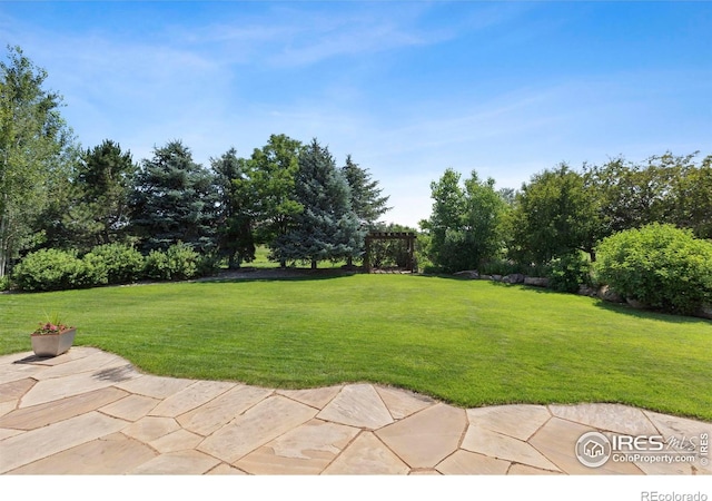 37044 Soaring Eagle Cir, Severance, CO 80550 - view of green lawn