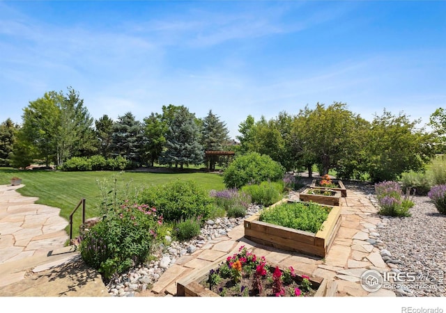 37044 Soaring Eagle Cir, Severance, CO 80550 - view of green lawn with a garden