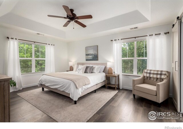 3290 Discovery Ct, Broomfield, CO 80023 - bedroom with a raised ceiling, dark wood-style flooring, ceiling fan, and a barn door