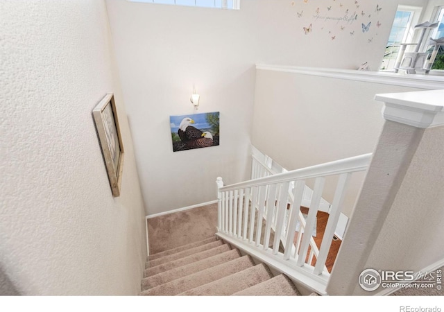 2653 Emerald St, Loveland, CO 80537 - photo 18