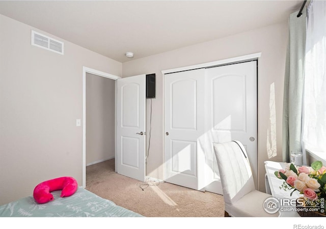 2653 Emerald St, Loveland, CO 80537 - photo 23