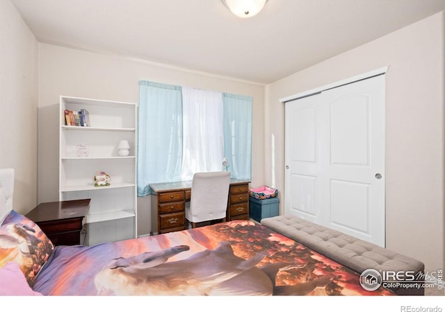 2653 Emerald St, Loveland, CO 80537 - photo 26