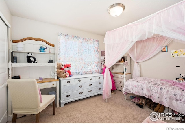 2653 Emerald St, Loveland, CO 80537 - photo 27