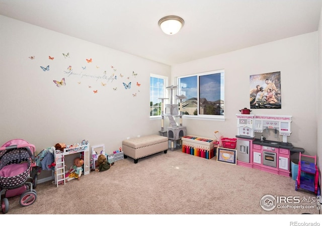 2653 Emerald St, Loveland, CO 80537 - photo 28