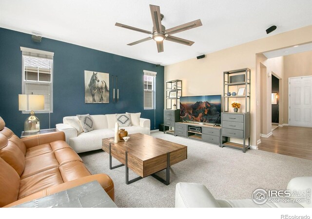 1568 Grand Ave, Windsor, CO 80550 - photo 8