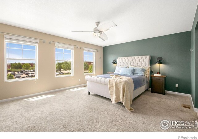 1568 Grand Ave, Windsor, CO 80550 - photo 16