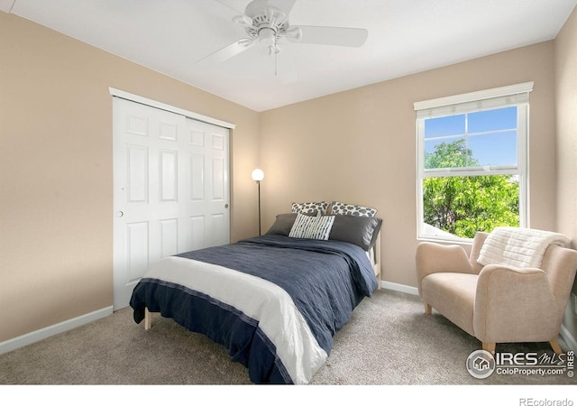 1568 Grand Ave, Windsor, CO 80550 - photo 20