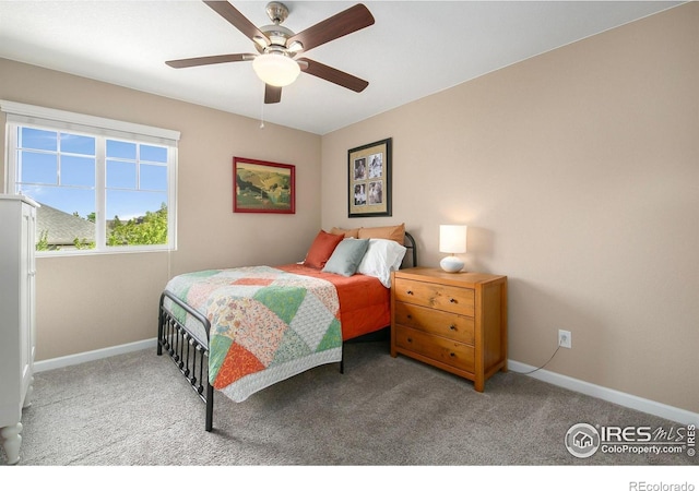 1568 Grand Ave, Windsor, CO 80550 - photo 21