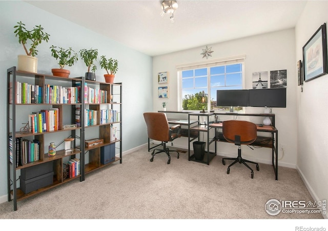 1568 Grand Ave, Windsor, CO 80550 - photo 22