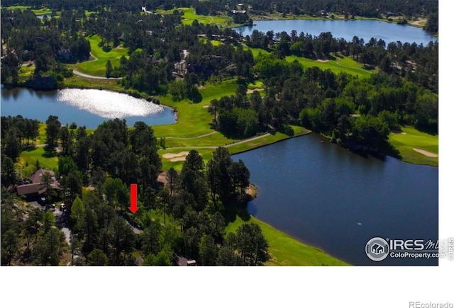 210 Fox Acres Dr W, Red Feather Lakes, CO 80545 - photo 2
