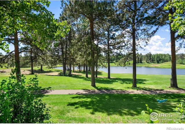 210 Fox Acres Dr W, Red Feather Lakes, CO 80545 - photo 3