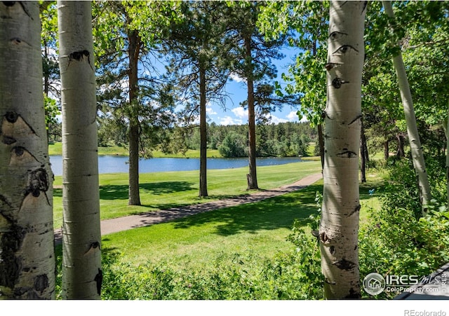 210 Fox Acres Dr W, Red Feather Lakes, CO 80545 - photo 4