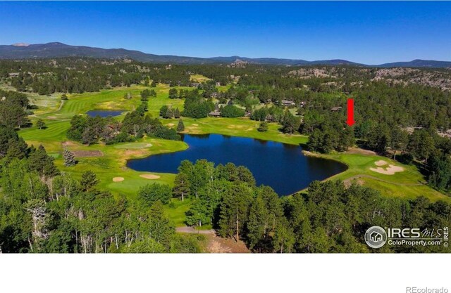 210 Fox Acres Dr W, Red Feather Lakes, CO 80545 - photo 30