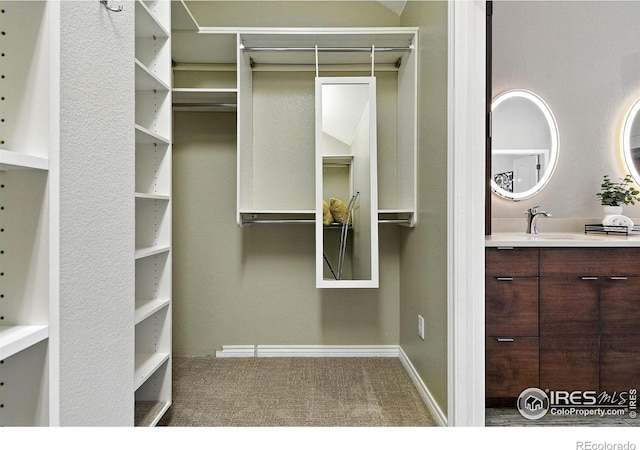 4332 Clay Commons Ct, Boulder, CO 80303 - spacious closet featuring carpet and a sink
