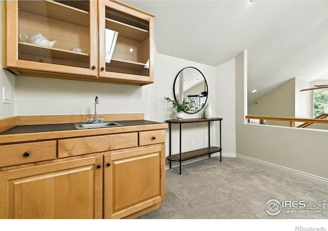 4332 Clay Commons Ct, Boulder, CO 80303 - indoor wet bar featuring lofted ceiling and light carpet