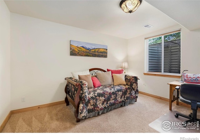 3175 Crooked Wash Dr, Loveland, CO 80538 - photo 21