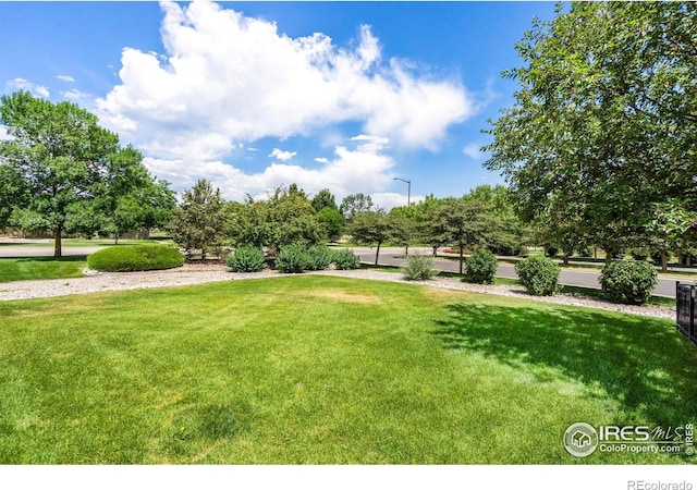 3175 Crooked Wash Dr, Loveland, CO 80538 - photo 26