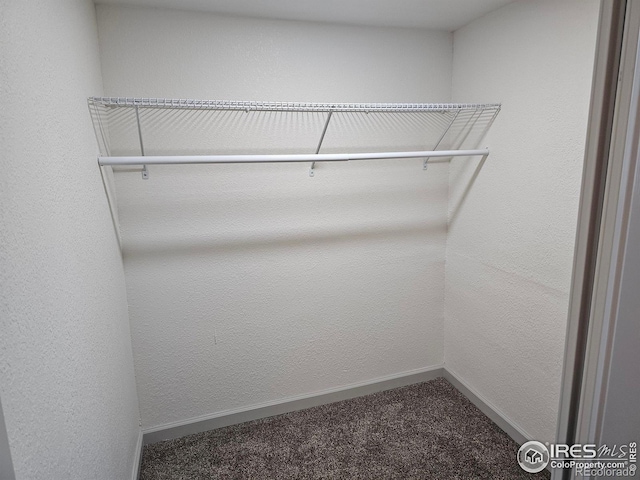 202 N 7th Ave, Sterling, CO 80751 - walk in closet featuring carpet