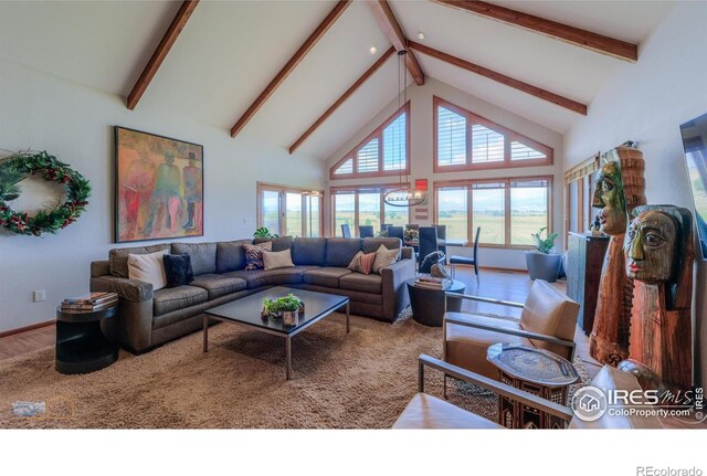 15137 E County Line Rd, Longmont, CO 80504 - photo 6