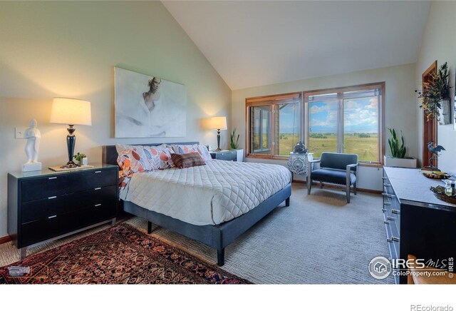 15137 E County Line Rd, Longmont, CO 80504 - photo 23