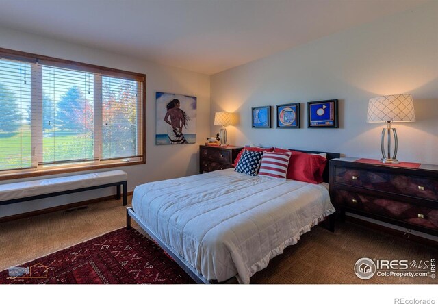 15137 E County Line Rd, Longmont, CO 80504 - photo 26