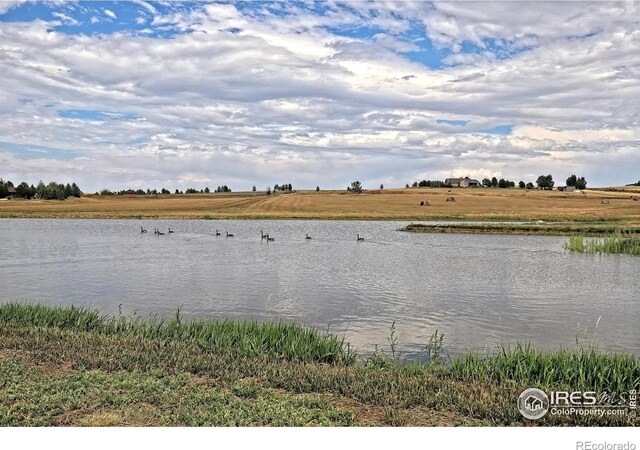 15137 E County Line Rd, Longmont, CO 80504 - photo 36