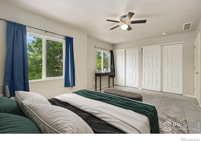 3902 Celtic Ln, Fort Collins, CO 80524 - photo 11