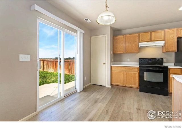 3902 Celtic Ln, Fort Collins, CO 80524 - photo 5