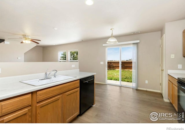 3902 Celtic Ln, Fort Collins, CO 80524 - photo 6
