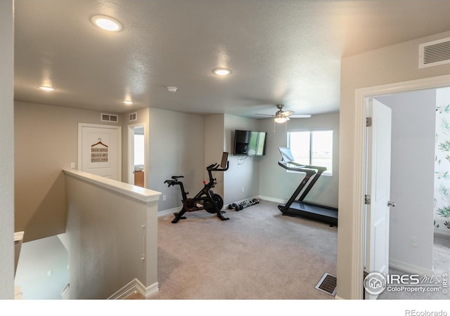 2355 Saddle Back Ct, Fort Lupton, CO 80621 - photo 19