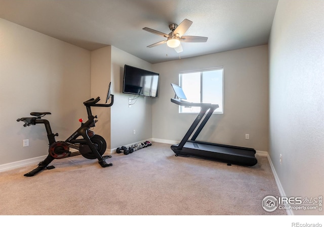 2355 Saddle Back Ct, Fort Lupton, CO 80621 - photo 20