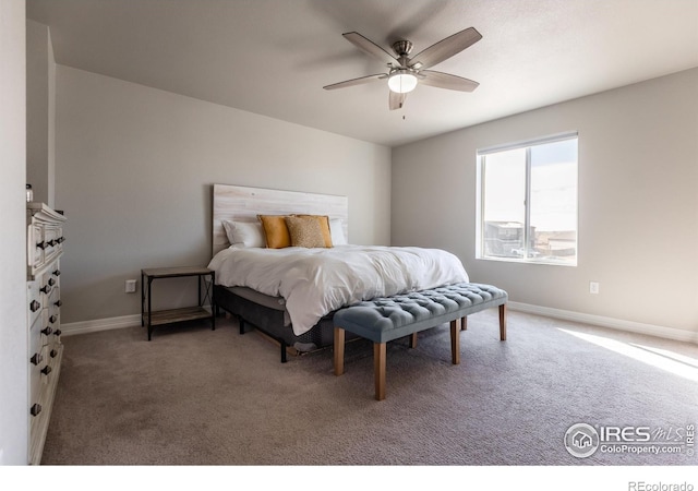 2355 Saddle Back Ct, Fort Lupton, CO 80621 - photo 26