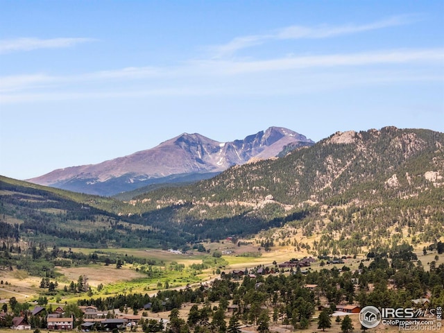 2516 Pine Meadow Dr, Estes Park, CO 80517 - photo 35