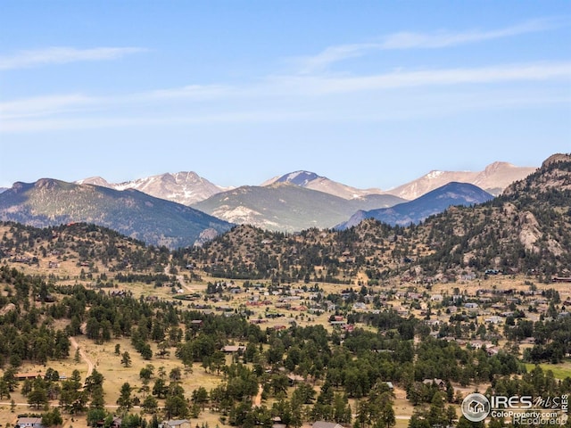 2516 Pine Meadow Dr, Estes Park, CO 80517 - photo 36