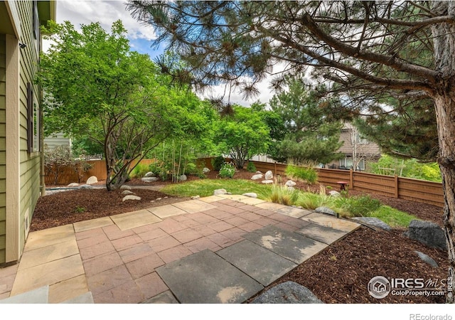 17132 E 104th Way, Commerce City, CO 80022 - fenced backyard with a patio