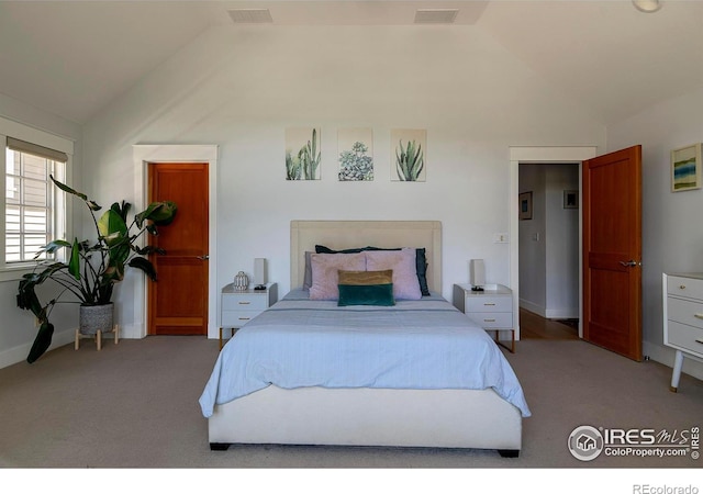901 Terrace Cir S, Boulder, CO 80304 - bedroom featuring lofted ceiling and carpet flooring