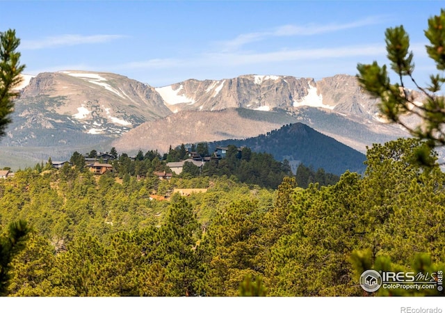 550 Grand Estates Dr, Estes Park, CO 80517 - photo 4
