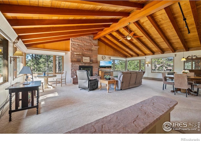 550 Grand Estates Dr, Estes Park, CO 80517 - photo 5