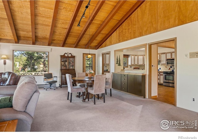 550 Grand Estates Dr, Estes Park, CO 80517 - photo 7