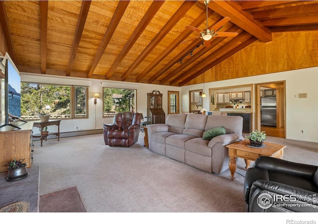 550 Grand Estates Dr, Estes Park, CO 80517 - photo 8