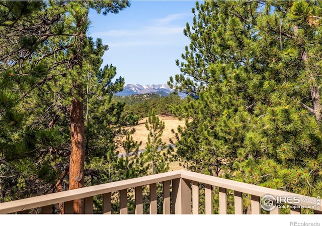 550 Grand Estates Dr, Estes Park, CO 80517 - photo 36
