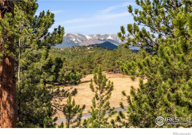 550 Grand Estates Dr, Estes Park, CO 80517 - photo 37