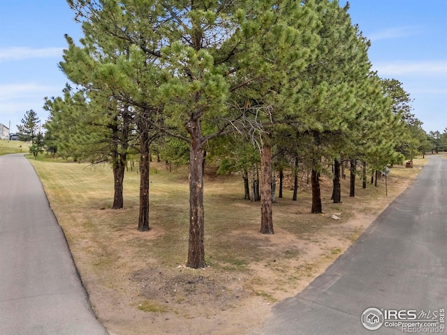 550 Grand Estates Dr, Estes Park, CO 80517 - photo 39