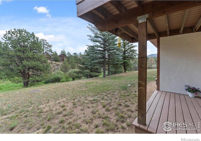 476 Macgregor Ave, Estes Park, CO 80517 - photo 32