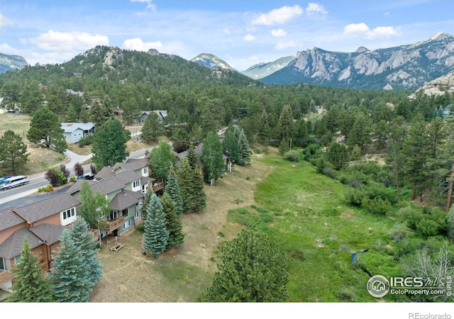 476 Macgregor Ave, Estes Park, CO 80517 - photo 37