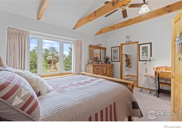 476 Macgregor Ave, Estes Park, CO 80517 - photo 25